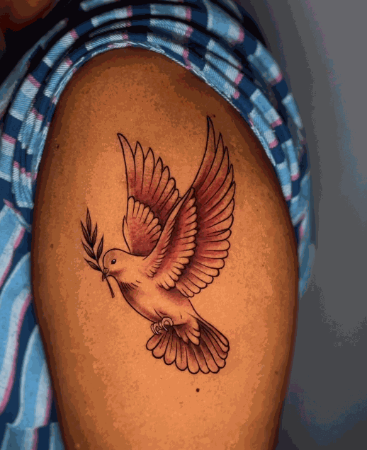 Olive Branch Dove